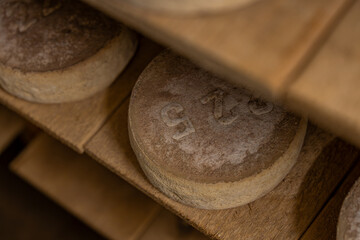 Gros plan sur des fromages en cours d’affinage dans une cave, révélant les textures naturelles, les nuances de couleur et le savoir-faire artisanal de la production fermière.