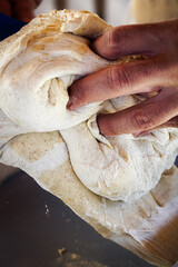 baker kneading dough