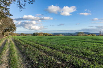 A pathway alongside farmland in rural Sussex, on a sunny October evening