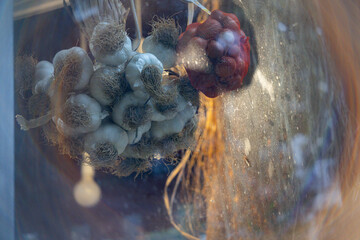 Close-Up of Garlic and Onion Bundles Behind a Glass at a Shop
