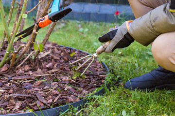 A close-up shot shows a hand in gardening gloves using a small hand hoe (or a small rake) to cultivate grass or weeds near a lawn.

