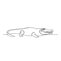 Fototapeta premium Line art illustration of an alligator resting on a flat surface 