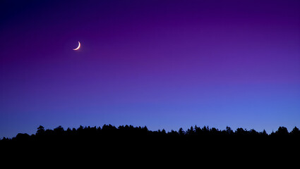 Crescent Moon over Forest Silhouette at Twilight Horizon Sky