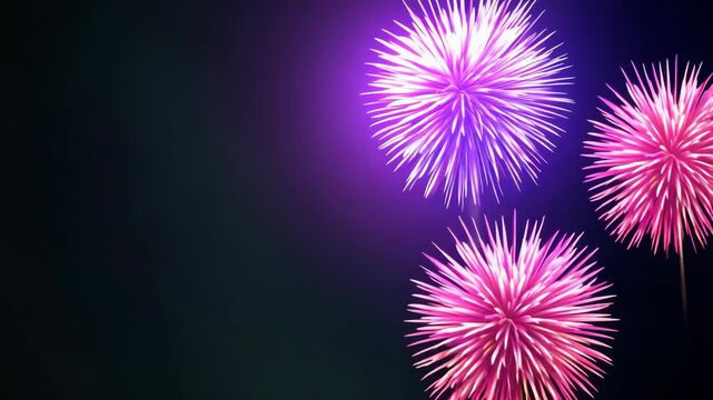 Colorful Fireworks Display in Night Sky