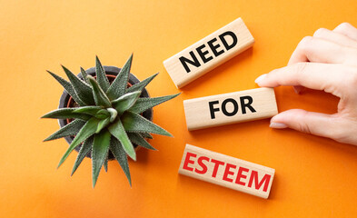 Need for Esteem symbol. Concept words Need for Esteem on wooden blocks. Beautiful orange background with succulent plant. Businessman hand. Business and Need for Esteem concept. Copy space.