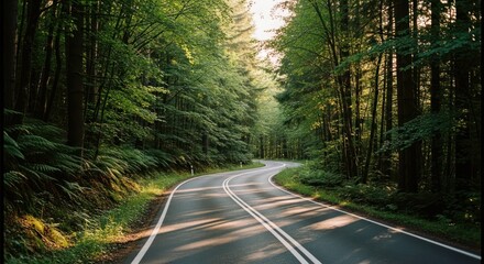 A winding asphalt road cuts through a vibrant, sunlit forest with tall green trees