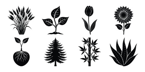 Collection of eight distinct botanical plant silhouettes in a black and white graphic style silhouette