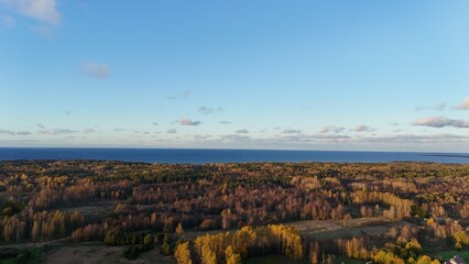 Naklejka premium Beautiful autumn landscape of an Estonian forest by the sea. Vibrant fall colors blend with the deep blue water and dramatic clouds above, creating a peaceful and cinematic coastal scene.