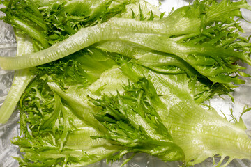 Fresh lettuce leaves.Green leafy salad.Lettuce is a plant.Lettuce leaf background.