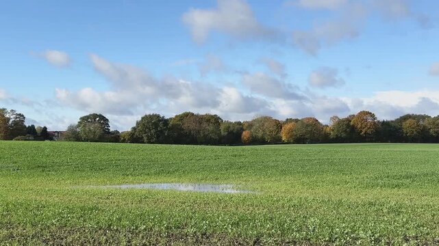 schleswig-holsteinische Landschaft im Herbst