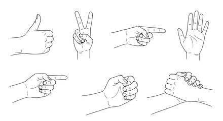Fototapeta premium Vector of human hands in different gestures, minimal line art style, isolated on white background