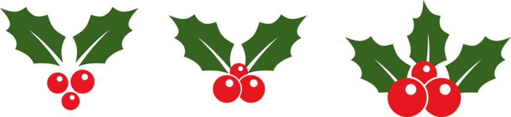 Classic holly berries and leaves clustered together, Christmas concept, festivities and winter festive decorations