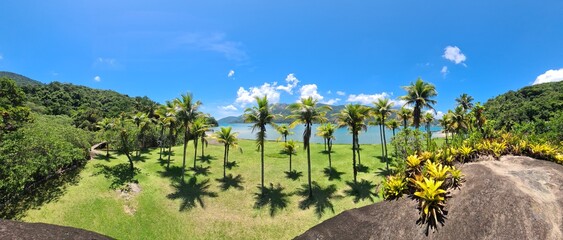 landscape of the mountains