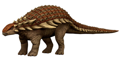 Fototapeta premium Realistic illustration of an armored dinosaur.