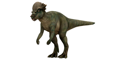 Realistic model of a Pachycephalosaurus dinosaur