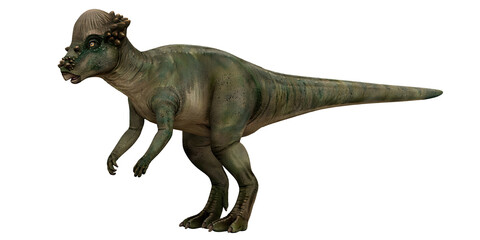 Fototapeta premium Realistic dinosaur model on white background