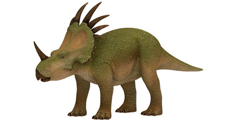 Triceratops dinosaur rendering on white background