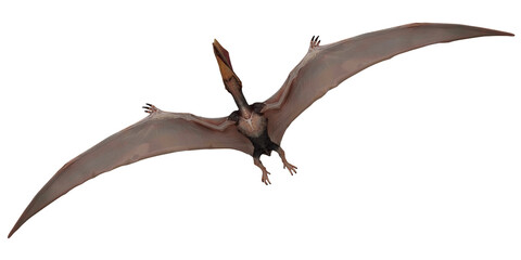 Pterodactyl soaring with outstretched wings. © Ilie
