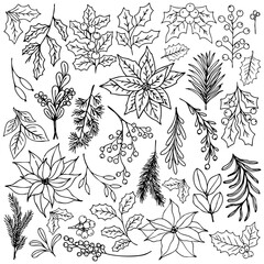 Christmas and winter botanical set in elegant line art style. Hand-drawn holly leaves, mistletoe, pine branches, berries and poinsettia. Minimalist floral design for greeting cards, packaging, print