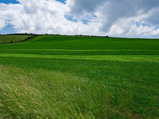 Lush green fields stretch out under cloudy skies.