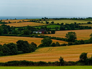 Obraz premium View of crops growing in farmland in West Cork, Ireland. A house sits amidst the fields and hedgerows, with the sea visible on the horizon.