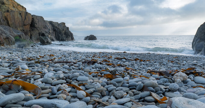 Rugged coastline with crashing waves. Seaweed scatters the rocky shore under a dramatic sky.
