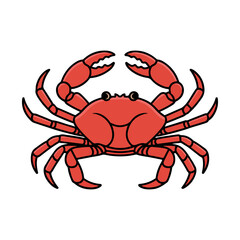 red crab vector illustration