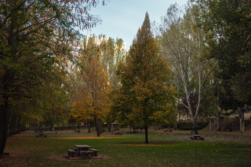 Soria, Spain. Autunm season. Colorful picture. Douro river.