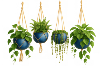 Hanging macrame planters with vibrant green houseplants, adding natural decor and bohemian style to interior spaces