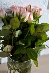 A vase of pink roses and green leaves sits before a white wall holiday present St. Valentines Day woman romantic