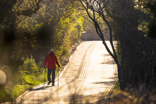 Nordic walking through the woods