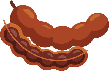 Sweet tamarind fruit whole and peeled tropical pod detail vector illustration