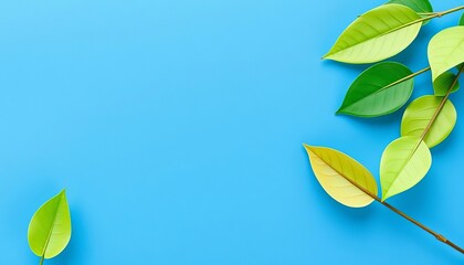 Smooth textured blue paper backdrop, ideal for product photography and design projects,  simple background,  backdrop texture