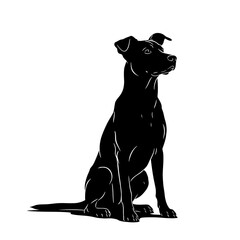 Black dog sitting in profile on white background  