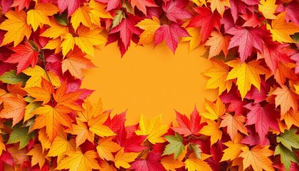 Vibrant autumn leaves arranged as a natural frame,   image,  design