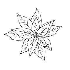 Minimalist Christmas botanical illustration in line art style. Hand-drawn leaf, branch or berries with pencil style contour and clean design. Perfect for holiday cards, packaging, prints