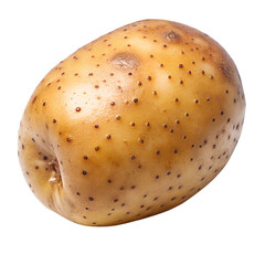 Single Raw Potato with Brown Skin and Dark Eyes Isolated on Black vegetable tuber isolated on a transparent background