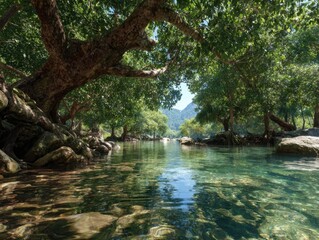 Tranquil Tropical River Mangrove Trees Clear Water Reflection Lush Green Foliage Rocky Riverbed Serene Landscape Scenic Outdoors