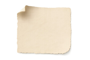 Old blank scroll or vintage parchment paper with curled torn edge and copy space on transparent background for message