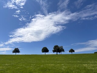 Peaceful Countryside Panorama with Lush Green Pasture, Tree Line, Blue Sky, White Clouds, and Small Cross in Nature