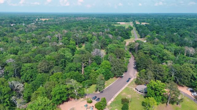 Aerial landscape lake wetlands summer nature scene sunny day rural Crystal Springs Mississippi