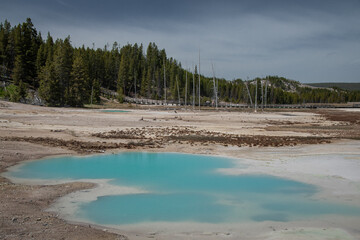 Turquoise colored pools of water in the Porcelain Basin, Yellowstone National Park