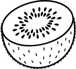 vector illustration of a kiwi fruit