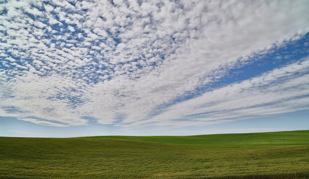A serene landscape featuring undulating green hills under a wide, blue sky with a mix of puffy and wispy clouds, creating a peaceful and open natural scene. - Powered by Adobe