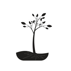 tree plant vector illustration design