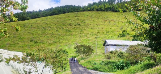 State Horticulture Farm, Shergaon, Arunachal Pradesh, India. Apple is the main fruit crop grown at...