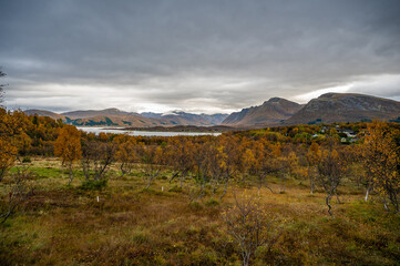 Sortland, Norway, serene landscape featuring autumn trees, a lake, and distant mountains under a cloudy sky, wide angle shot