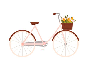 Classic Netherlands style bicycle with tulip flowers in a basket, isolated on white vector illustration