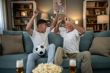 Father and son celebrating soccer match watching tv