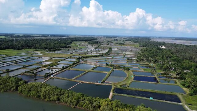 Aquaculture ponds used for large scale fish and prawn farming. aquafarming land in india. Fishing pond.